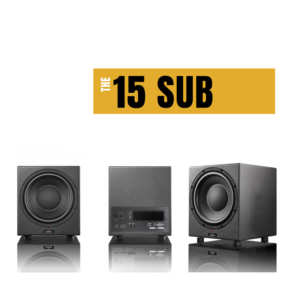 THE 15 SUB – 15″ woofer
